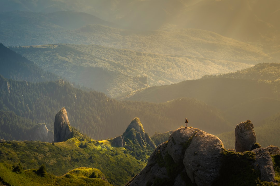Embracing the Call of the Wild: Budget-Friendly Adventures Await